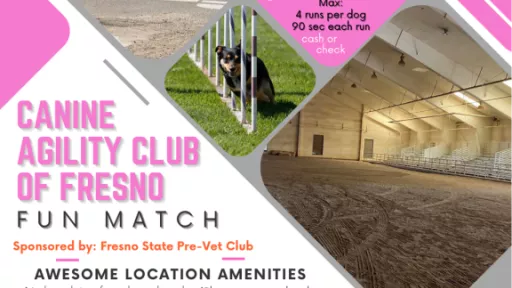 Event flyer with agility courses and event details in pink and grey tones.