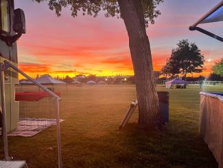 Agility field at sunset.